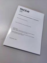 Thesis Achieving Successful DevOps Adoption in IT Organizations